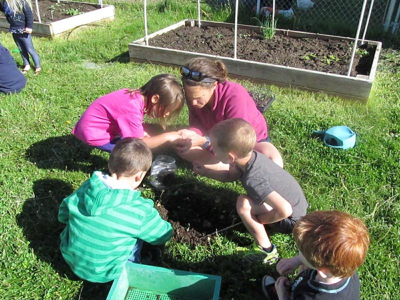 Silver Bow Montessori School Gardening 3